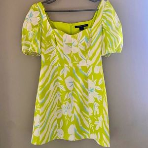 Berina Whisper Puff Sleeve Dress